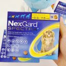 산본우리약국 이미지