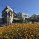 구례군청소년수련원