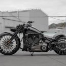 티엠디(TMD) 이미지