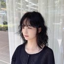 진헤어비스 - 서구 구덕로 240 | 진헤어비스
