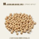 지리산건강마을 | 유퀴즈 이계호 교수님 장건강의 중요성 / 지리산생태마을 청국장가루 내돈내산 후기