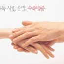 폴리체 이미지