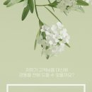하진몰