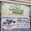 이노티안경 계룡대실점 이미지