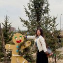 미나토 | 도쿄온천 고민 끝, 잠만 자는 숙소 대신 선택한 요코하마 미나토미라이 만요클럽 후기