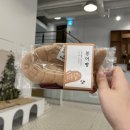 야옹아멍멍해봐 송파위례점 | 송파애견용품 야옹아멍멍해봐 송파위례점에서 룽지 겨울에디션 장난감 쇼핑 후기‼️