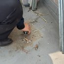 (주)지엠포인트 네이버블로그