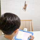 책 읽어주기 첫걸음 「웃음꽃 동화교실」 | 밀크T아이 유아맞춤도서 동화책읽어주기 유아책 후기