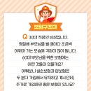 인슈어컨설팅