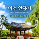 애련정 | 이천 안흥지 숙소 앞에서 바로 걷는 벚꽃 연못길 산책 후기