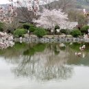 꽃구경...봄나물케기...각종 수련회...기도모임...쉼을 얻을 수 있는 에덴동산 김천 예수원 이미지