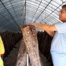 해풍농장 이미지