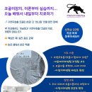 숨브리즈 이미지