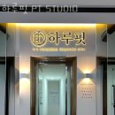 하루핏 이미지