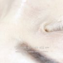 루루앤아이래쉬 종로점