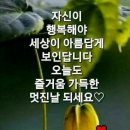 스카이윙 이미지