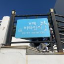 거제비타민씨 이미지