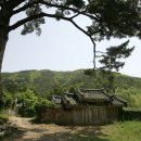 선한부자