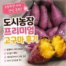 상중농장 | 초등학생 아이 간식 추천, 도시농장 프리미엄 고구마 후기
