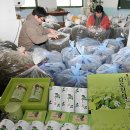 감로농장 이미지