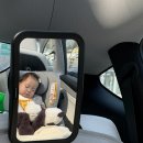 르꼬모애 | 아기 돌촬영 르꼬모애 내돈내산 후기
