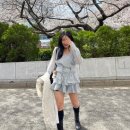 첫눈에 반한 아우로 25ss 코튼니트 프릴블라우스셋업