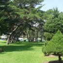 속리산 법주사 여행... 이미지