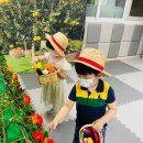 큰솔농장 이미지