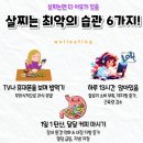 매일김밥