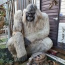 청광농장 이미지