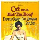 1958 뜨거운 양철 지붕 위의 고양이 Cat on a Hot Tin Roof 이미지