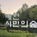 매헌 | [서초구] 양재시민의숲(매헌시민의숲) 한 바퀴 산책 후기