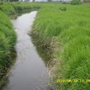 내장산문화광장 이미지