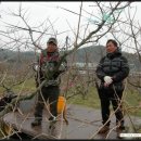 김광석 농장 이미지