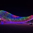 2025 대덕물빛축제 이미지