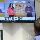 알파고PC방 이미지