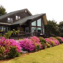 드르니오션리조트 이미지