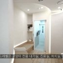 호평동물병원 이미지