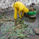 금대농장 이미지