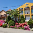 홍천 강가애 이미지