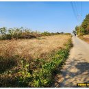 미암면사무소 이미지