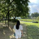 가버 - 고양시 일산동구 중앙로 1283 | 발편한 운동화 브랜드 가버 롤링소프트 여성 스니커즈 추천