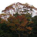 석주권필 유허비 | 강화 고려산 사찰들 [1] - 백련사