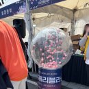 2025 렛츠런파크 서울 벚꽃축제 가족나들이 벚꽃명소 추천 / 경마공원 주차