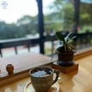 싱그러운청도로(가을) | [청도카페 대추차맛집] 카페 "헐티재가는길" 청도...필수 코스!인생 대추차와 힐링 뷰맛집 솔직 후기!