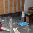 크레도펜션 이미지