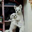 골든타임이스케이프 이미지