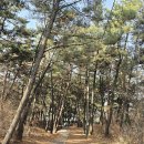 동암2리 마을회관 | 서산 율목리마을-간대산-황소고개-원당지-역천쉼터-성당초등학교-사기소리마을-삼웅2리마을회관 여행기록