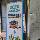 대구 주말 아이랑 나들이｜희망토농장 수성팜크닉 블루베리 체험 후기