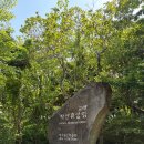 교래 | 아이와 함께 다녀온 제주교래자연휴양림 후기